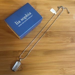 NEW Lia Sophia Silver Cut Stone Necklace